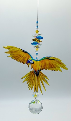 Rainbow lorikeet crystal - rainbow,