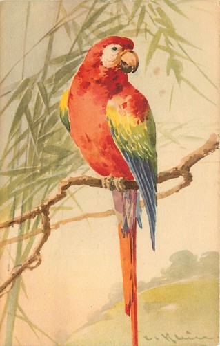 Catherine klein signed - klein, artist