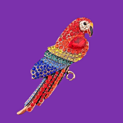 Scarlet macaw parrot - scarlet, brooch